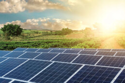 solar energy careers