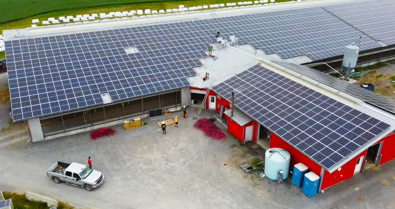 Churchill Farms solar panels, Ontario