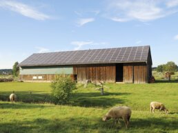 Farm with solar