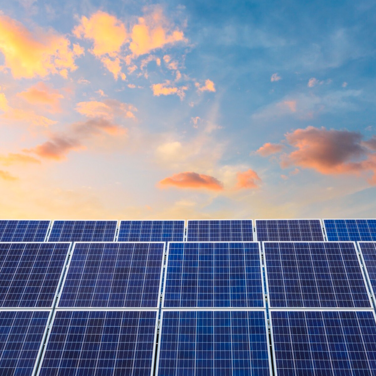 Solar panels at sunset