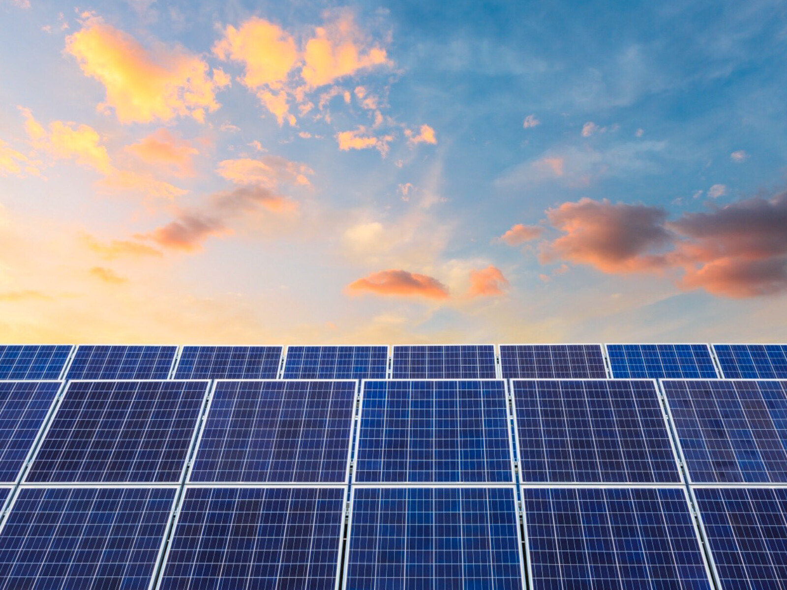 Solar panels at sunset