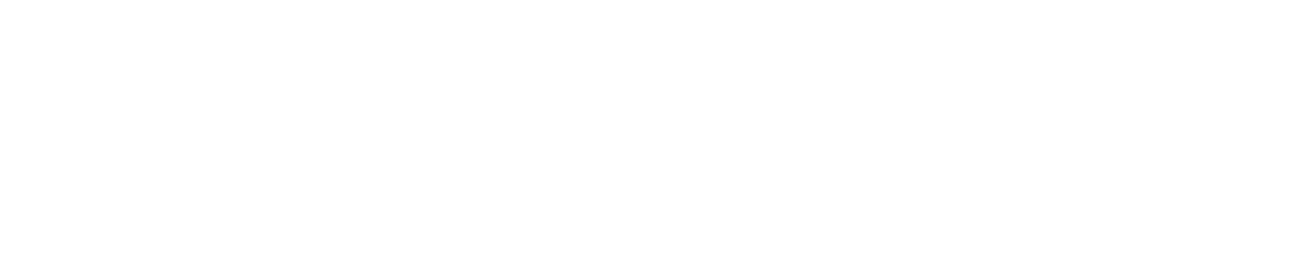 Kühne + Nagel logo