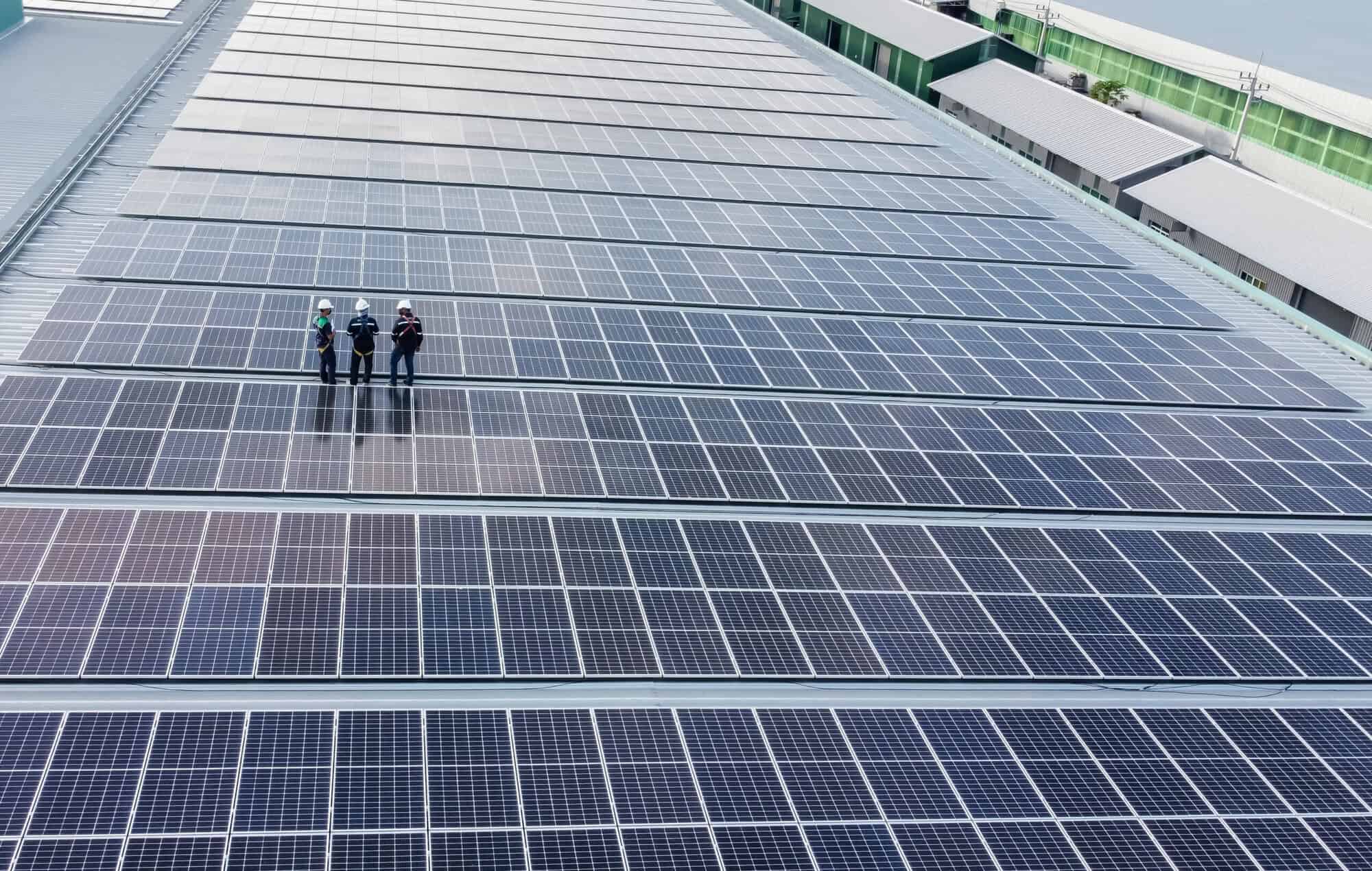 Experts share 5 top things you should know when taking your business solar